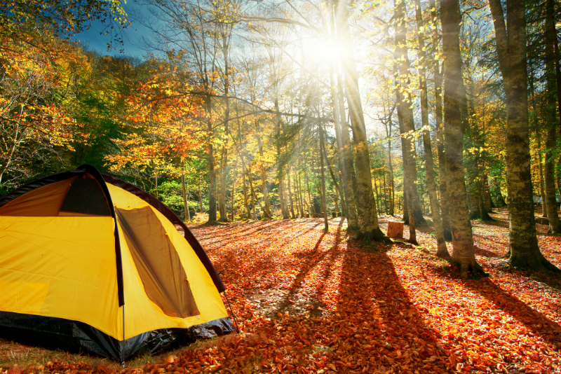 Camping In Fall